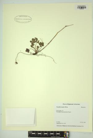 99266-Service File.jpg