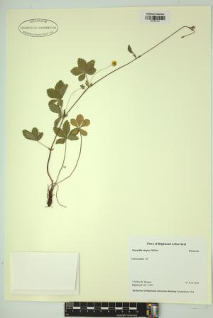 99267-Service File.jpg