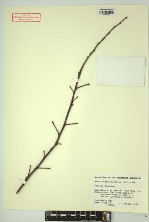 99269-Service File.jpg