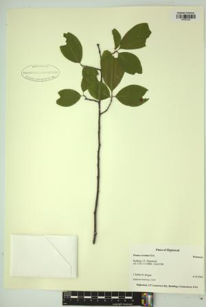 99272-Service File.jpg