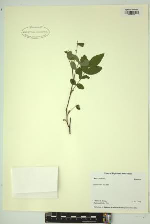 99280-Service File.jpg
