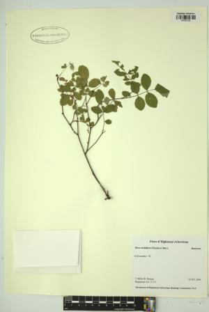 99281-Service File.jpg