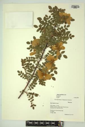 99283-Service File.jpg