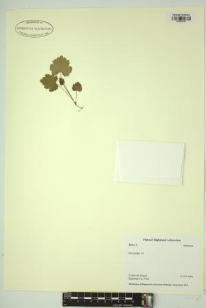 99284-Service File.jpg