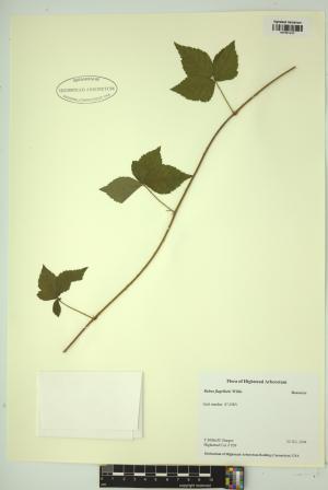 99288-Service File.jpg