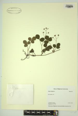 99291-Service File.jpg