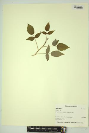 99292-Service File.jpg