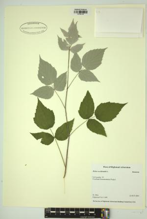 99293-Service File.jpg