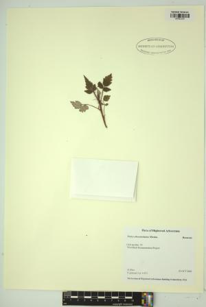 99294-Service File.jpg