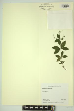 99305-Service File.jpg