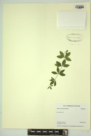 99306-Service File.jpg