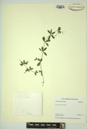 99315-Service File.jpg