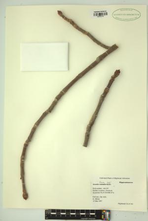 99320-Service File.jpg