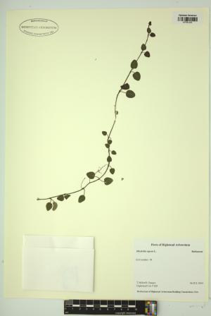 99329-Service File.jpg