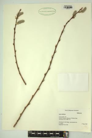 99359-Service File.jpg