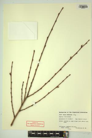 99360-Service File.jpg