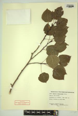 99371-Service File.jpg