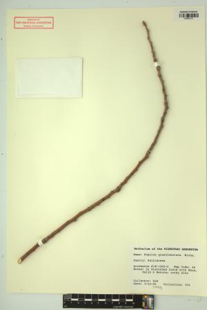 99375-Service File.jpg