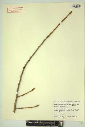 99378-Service File.jpg