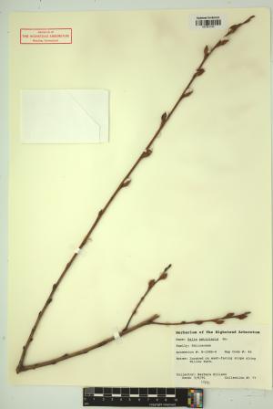 99388-Service File.jpg