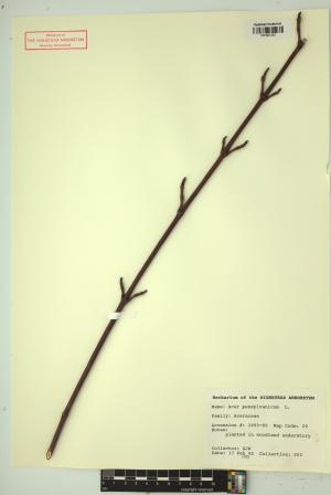 99391-Service File.jpg