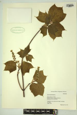 99392-Service File.jpg