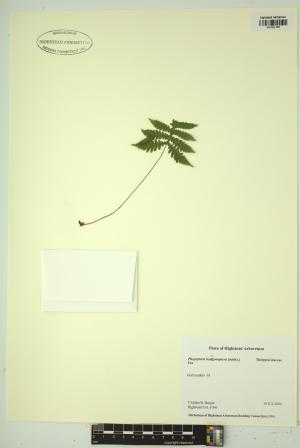 99421-Service File.jpg
