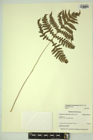 99422-Service File.jpg