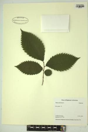 99430-Service File.jpg