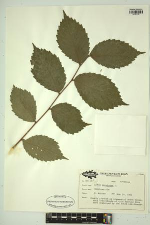 99431-Service File.jpg