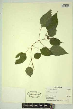 99434-Service File.jpg