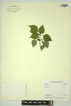 99436-Service File.jpg