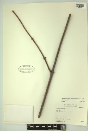 99445-Service File.jpg