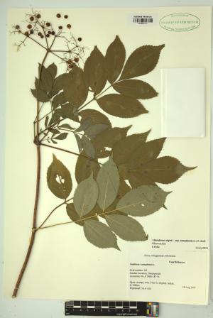 99446-Service File.jpg