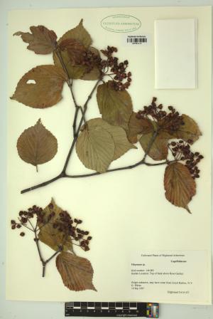 99450-Service File.jpg