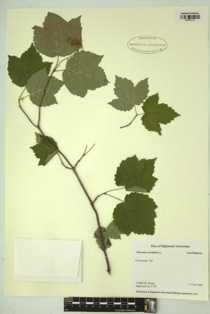 99453-Service File.jpg