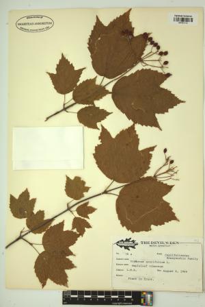 99456-Service File.jpg