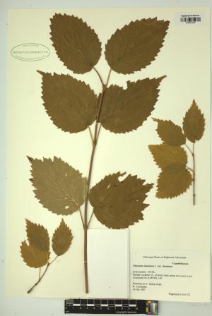 99461-Service File.jpg