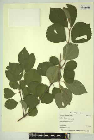 99467-Service File.jpg