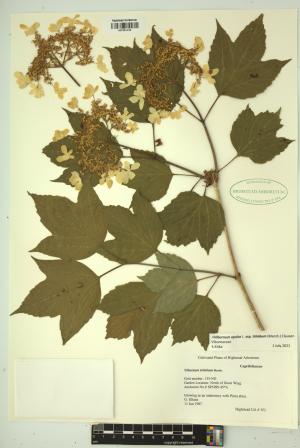 99470-Service File.jpg