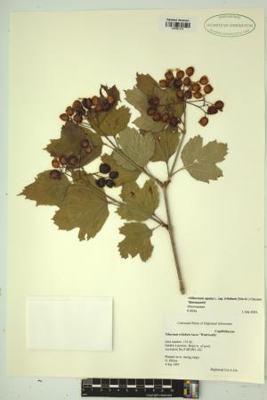 99472-Service File.jpg