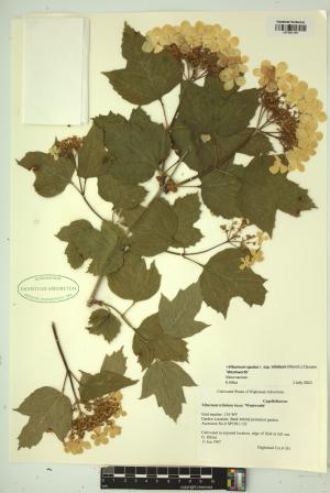 99473-Service File.jpg
