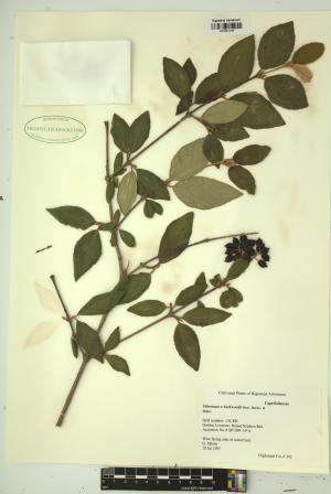 99486-Service File.jpg