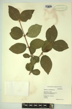 99488-Service File.jpg