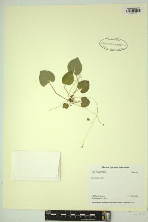 99491-Service File.jpg