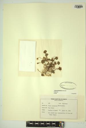 99493-Service File.jpg