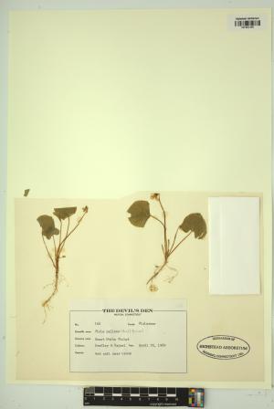 99496-Service File.jpg