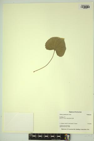 99498-Service File.jpg