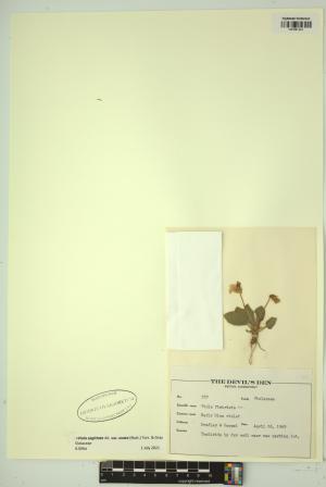 99499-Service File.jpg