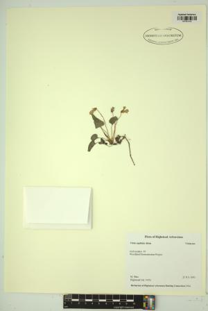 99500-Service File.jpg